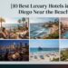 10 Best Luxury Hotels in San Diego Near the Beach (2026 Guide)