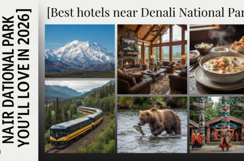 10 Best Hotels Near Denali National Park You'll Love in 2026