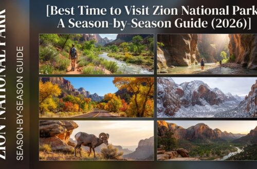 Best Time to Visit Zion National Park: A Season-by-Season Guide (2026)