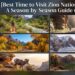 Best Time to Visit Zion National Park: A Season-by-Season Guide (2026)