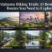 Alabama Hiking Trails: 15 Best Scenic Routes You Need to Explore
