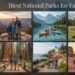 Top 15 Best National Parks for Families in the USA