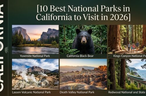 10 Best National Parks in California to Visit in 2026