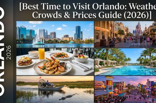 Best Time to Visit Orlando: Weather, Crowds & Prices Guide (2026)
