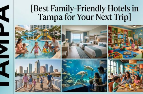 Best Family-Friendly Hotels in Tampa for Your Next Trip