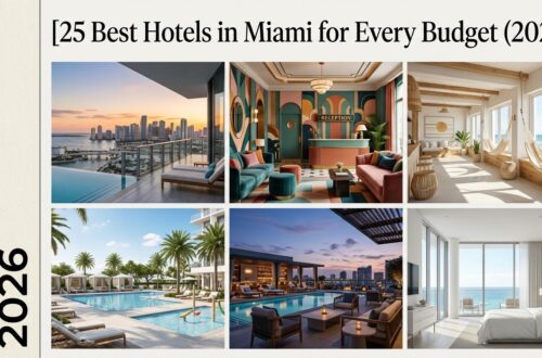 25 Best Hotels in Miami for Every Budget (2026)