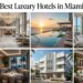 15 Best Luxury Hotels in Miami for 2026