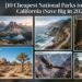 10 Cheapest National Parks to Visit in California (Save Big in 2026)