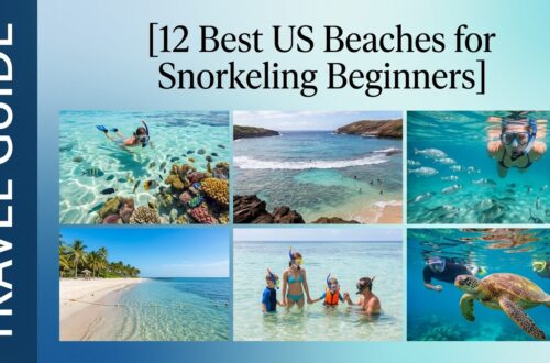 12 Best US Beaches for Snorkeling Beginners