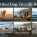 10 Best Dog-Friendly Beaches on the West Coast