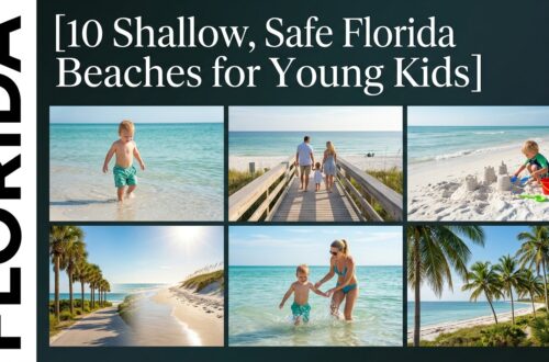 10 Shallow, Safe Florida Beaches for Young Kids