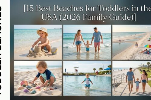 15 Best Beaches for Toddlers in the USA (2026 Family Guide)