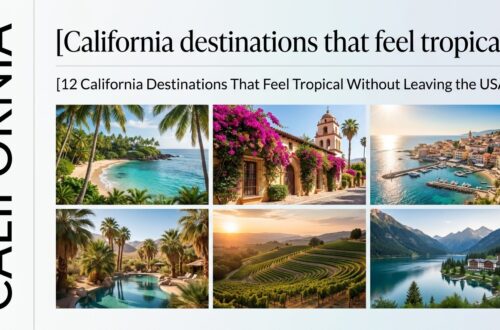 12 California Destinations That Feel Tropical Without Leaving the USA
