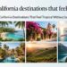 12 California Destinations That Feel Tropical Without Leaving the USA