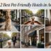 12 Best Pet-Friendly Hotels in Amsterdam