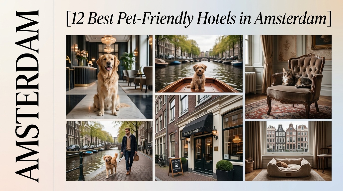 12 Best Pet-Friendly Hotels in Amsterdam